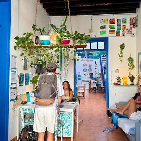 Ashavana Nest Hostel-3